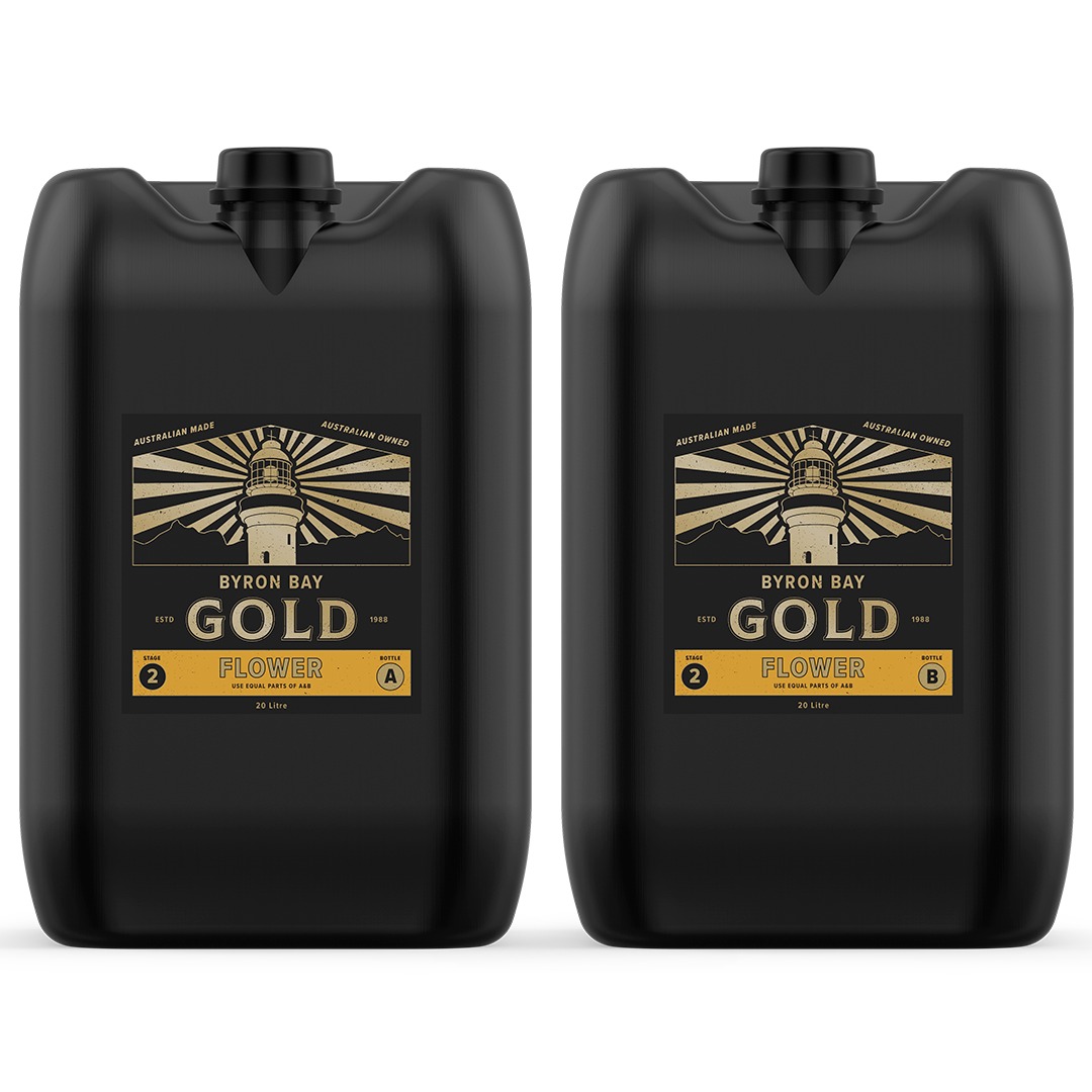 FLOWER (A&B) Stage 2