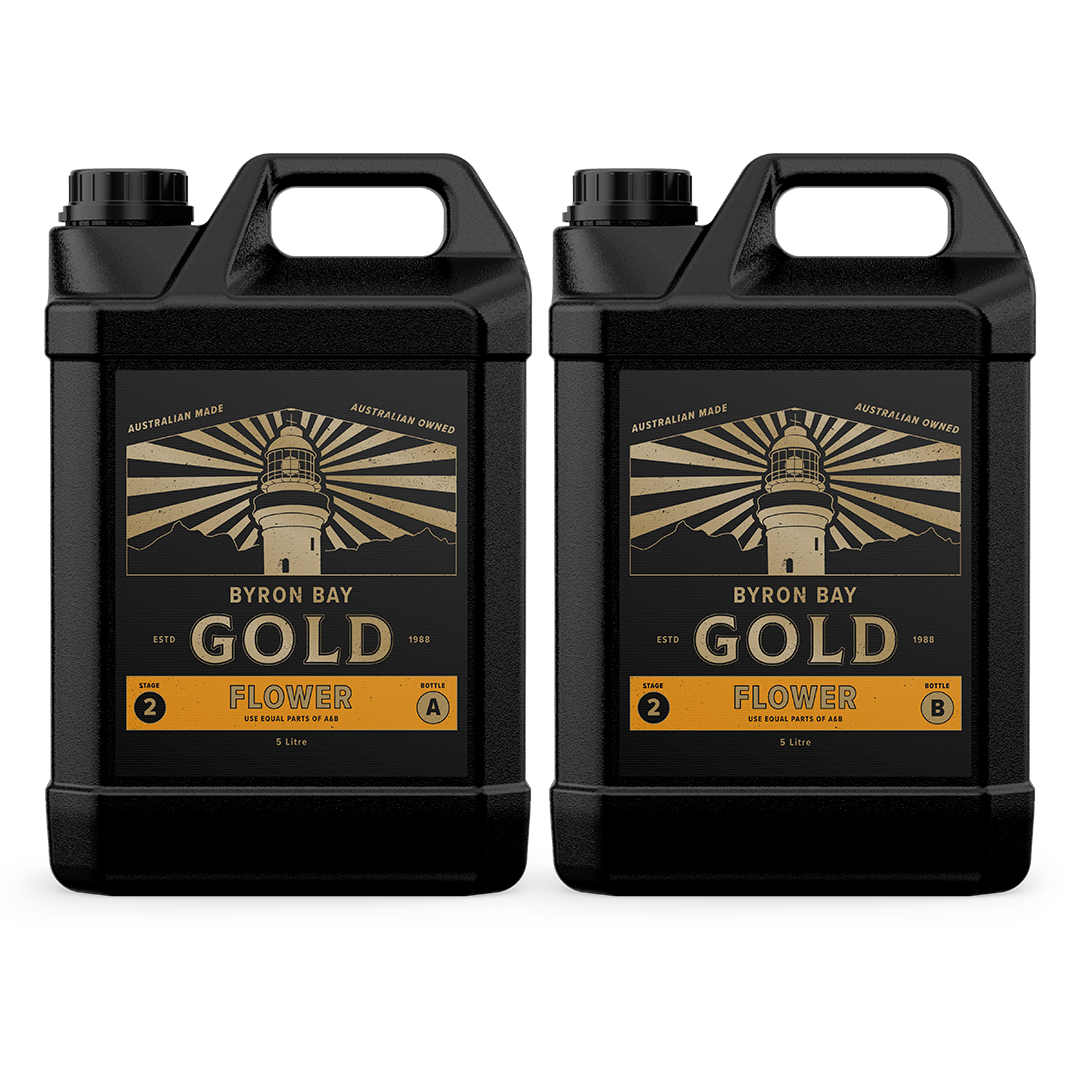 FLOWER (A&B) Stage 2