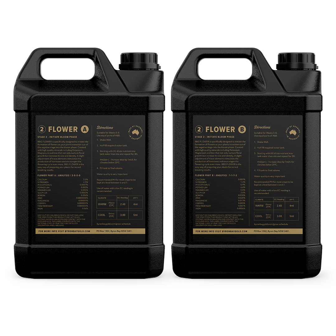 FLOWER (A&B) Stage 2